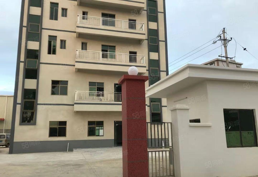 园洲镇独院单一层厂房5300平方，宿舍800平，可分租！