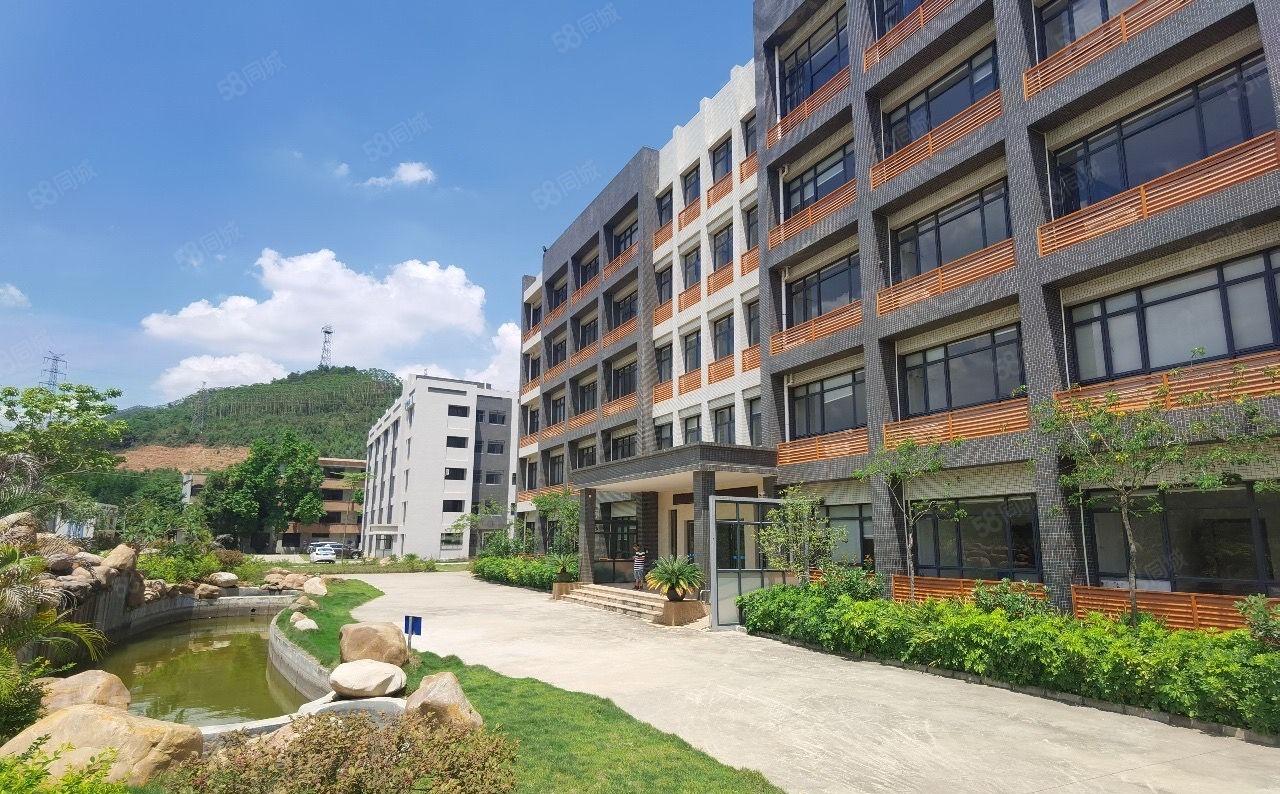 园洲单一层加标准厂房总面积41000平方