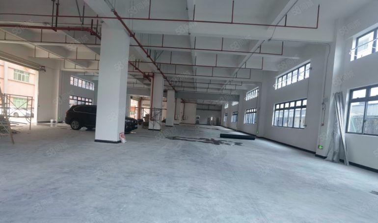 园洲镇原房东全新独栋标准厂房出租，