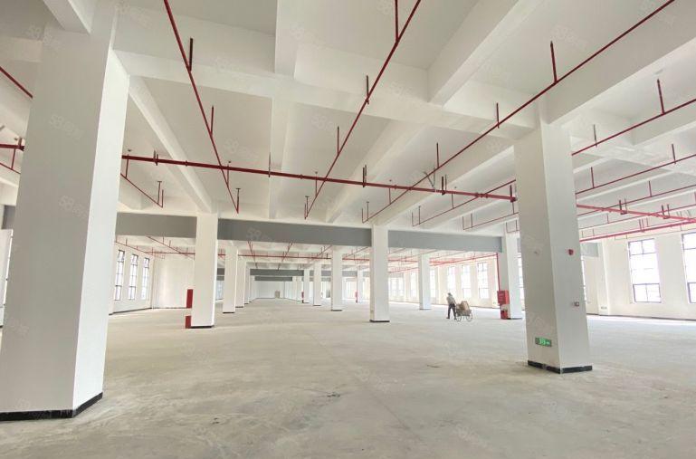 专业物流仓库原房东标准厂房出租价格10块钱