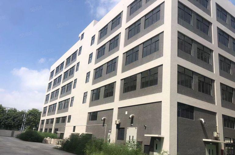 石湾科技园全新标准厂房出租独门独院带红本价格便宜