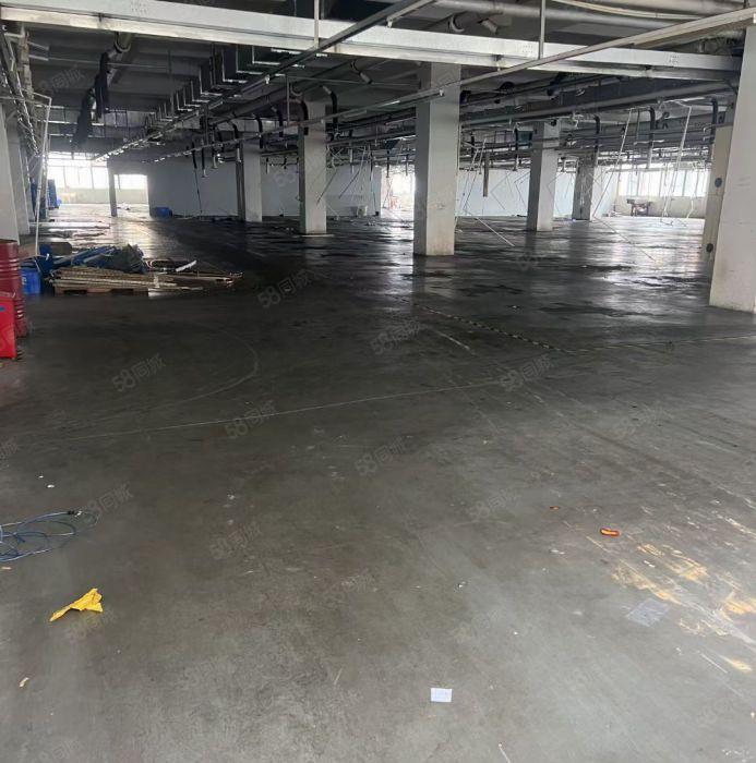 靓四角楼标准厂房16000平米招租