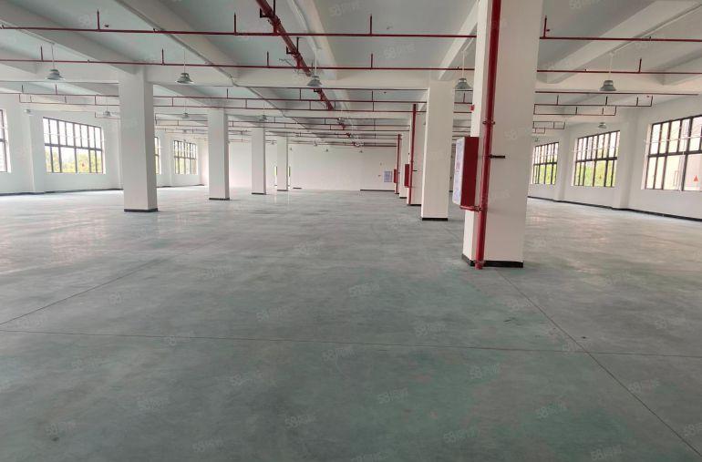 博罗县稀有房源带全新装修只租8元