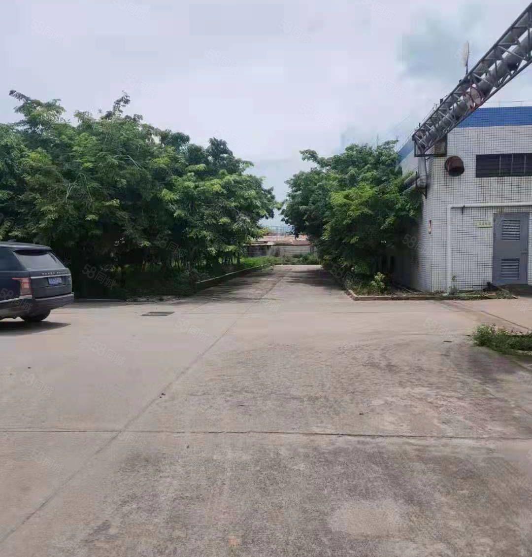 博罗杨村占地8万平，砖墙厂房26000平招租，长度200米