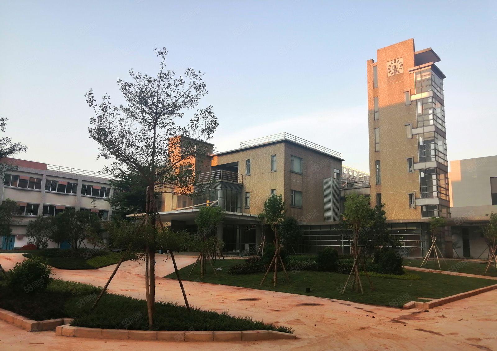 石湾科技园（红本）厂房火爆招租