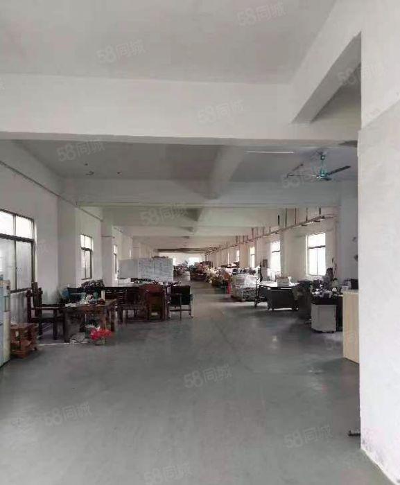 低价出租龙溪原房东经典三层小独院