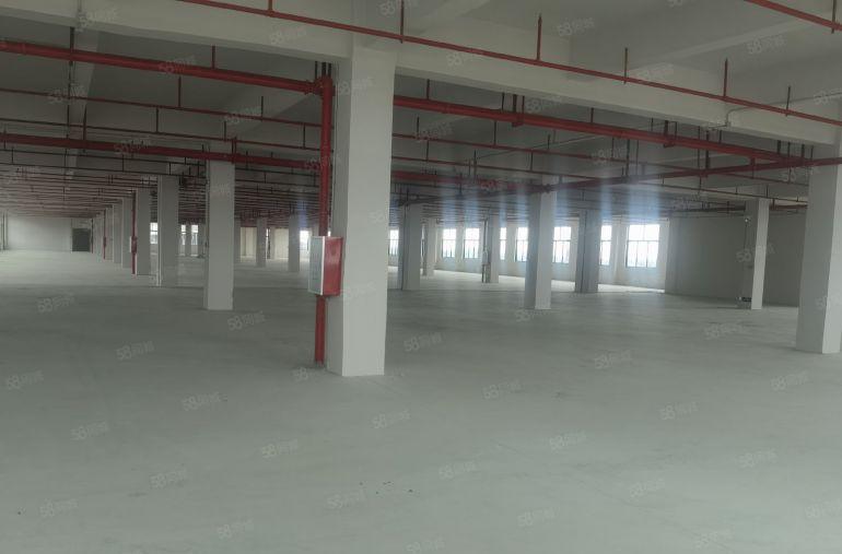 园洲镇原房东全新独栋标准厂房