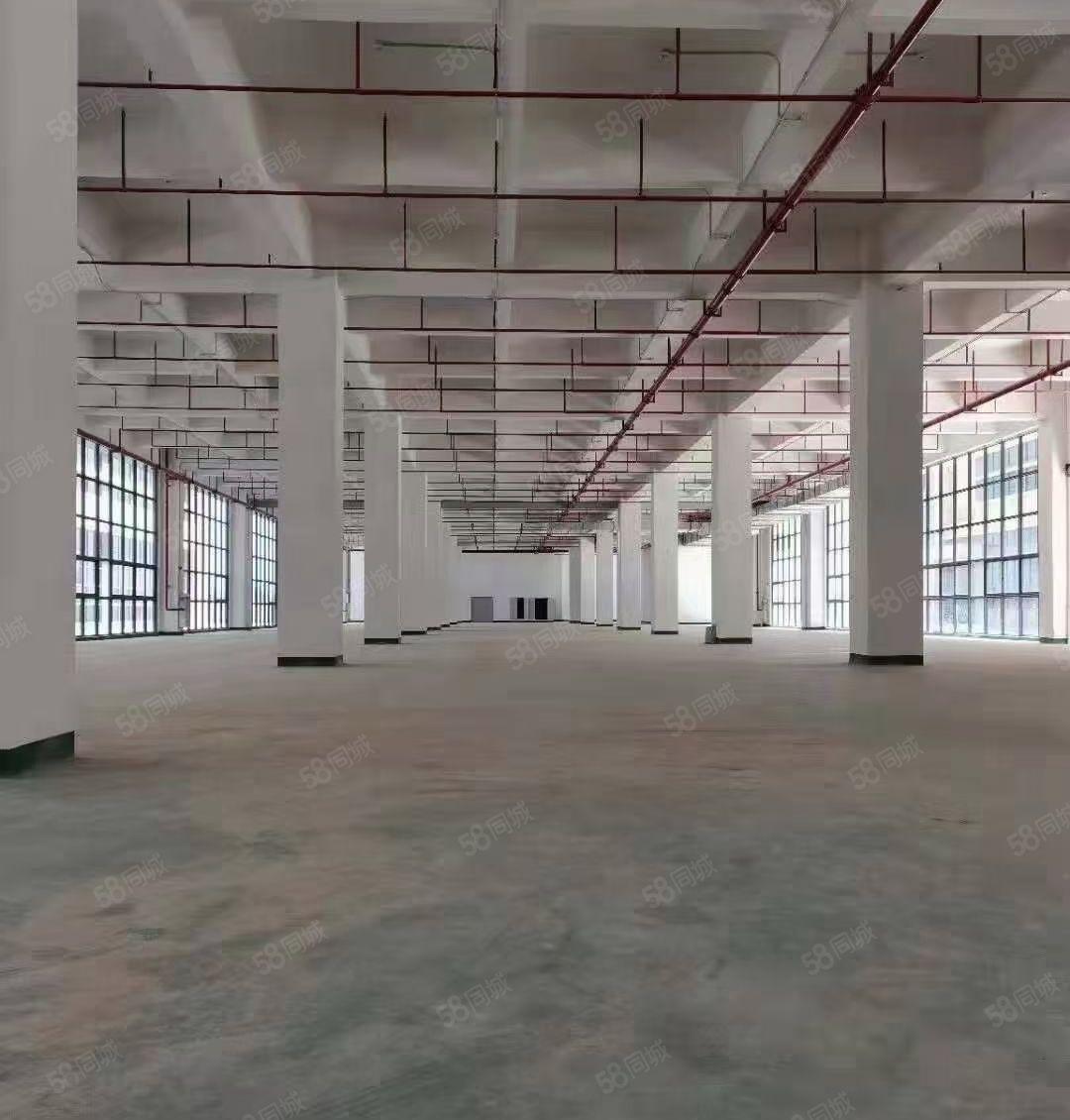 龙华镇大道边标准厂房独院出租6000平方一栋证件齐全