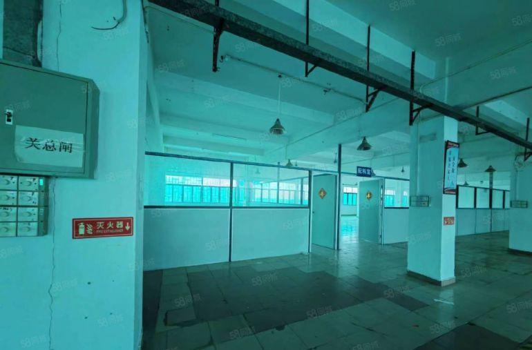 园洲国道边本地业主实地面积分租，关系好