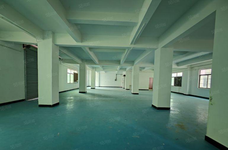 园洲新出标准1080平厂房，原房东好说话