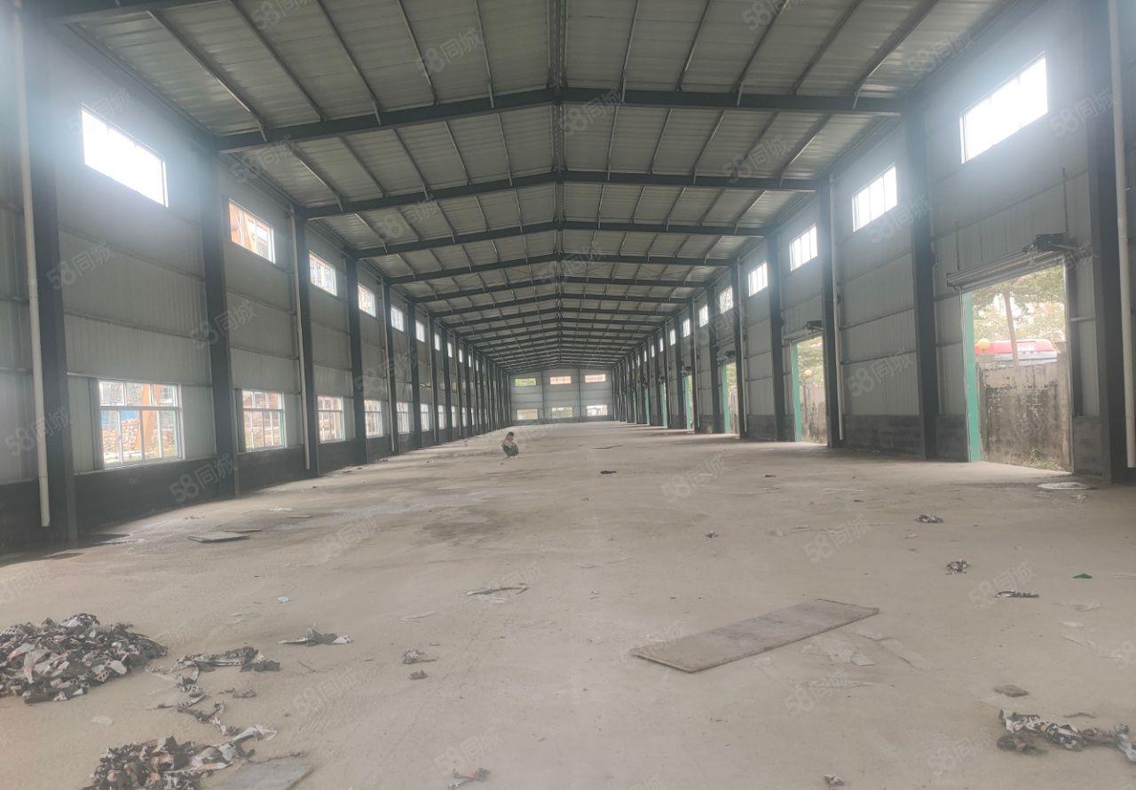 龙溪大道边钢结构全新厂房出租价格便宜