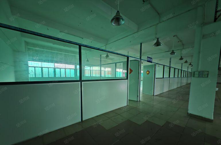 园洲电子包装类看过来500平，750平，1100平 水电齐全