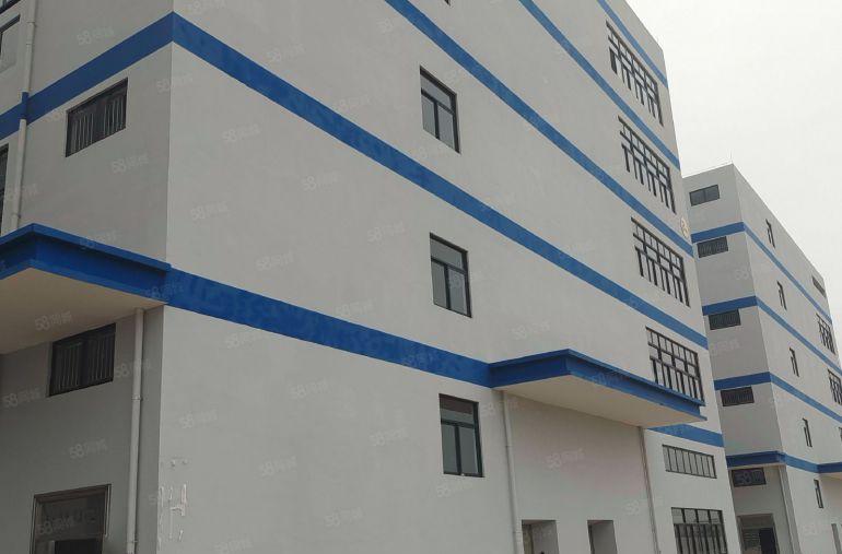 园洲镇原房东独门独院标准厂房出租，国土证红本厂房，实际面积租