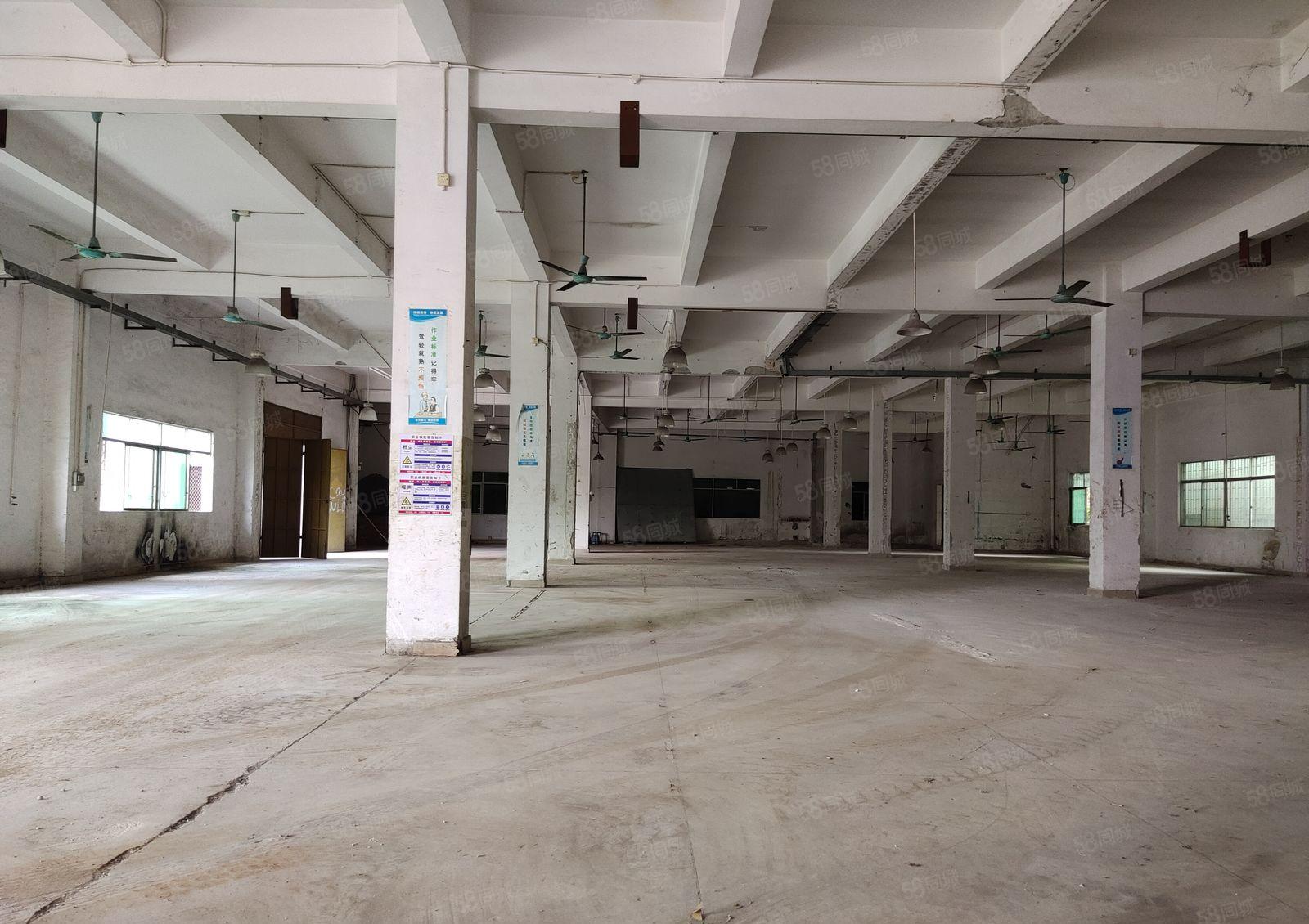 石湾科技园独院厂房出租1200方，水电齐全超大空地，可办环评