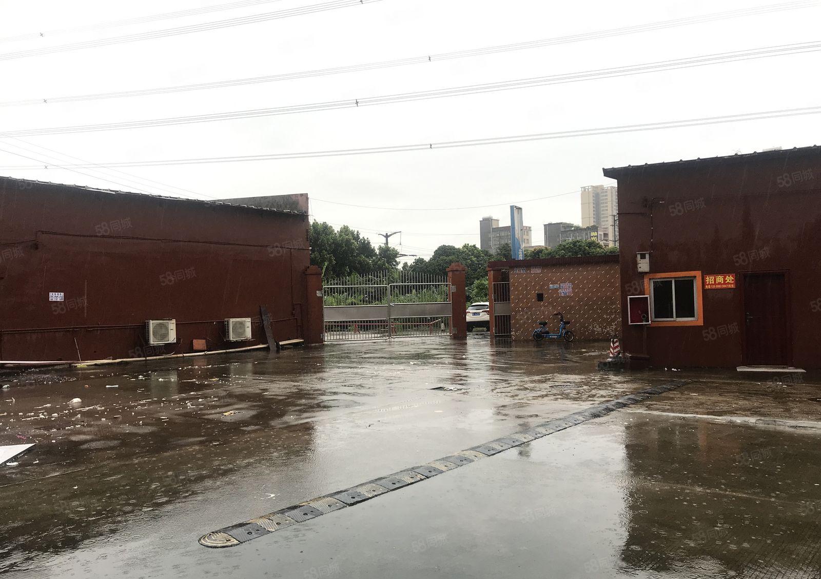 园洲独院厂房出租7300平出租证件齐全可办环评