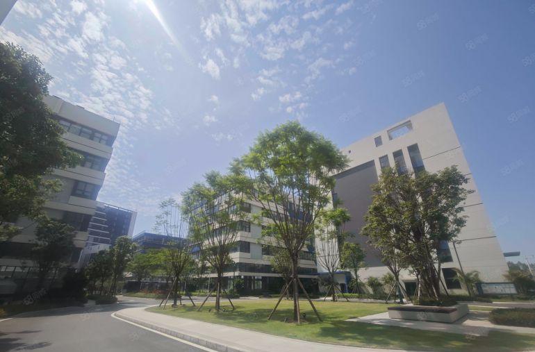 8元带装修 博罗园洲上南工业区二楼实际面积2000平