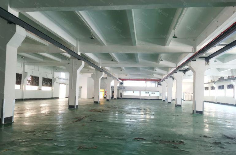 博罗县原房东独院花园式标准厂房低价出租，可分租可办环坪。