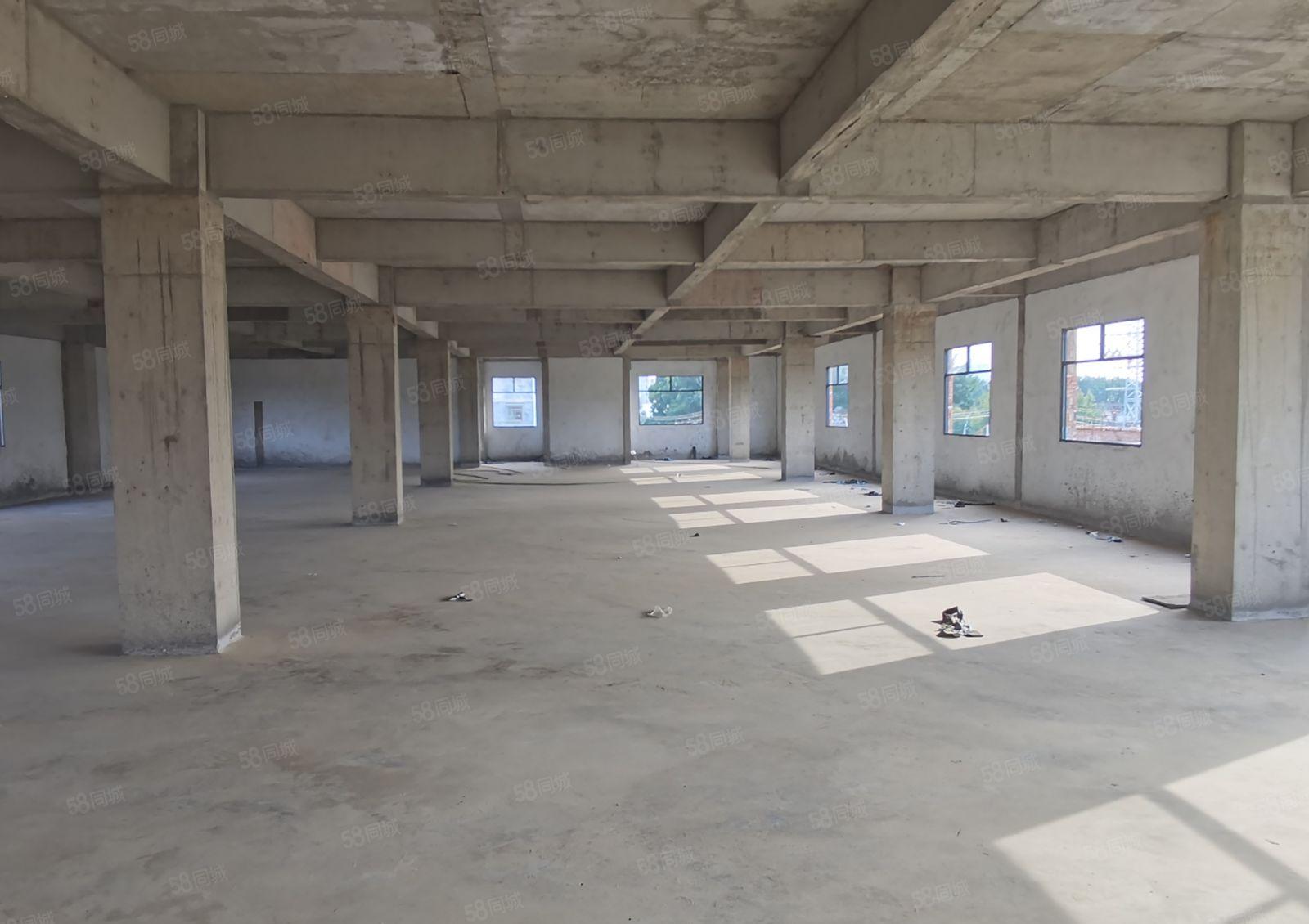 龙溪独院厂房出租价格优惠方正