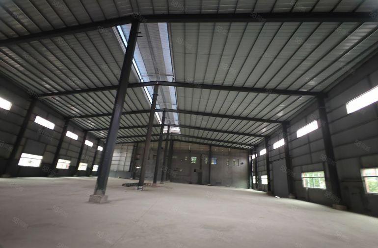 园洲本地老大哥自建单一层880平，滴水8米空地大 价格不贵