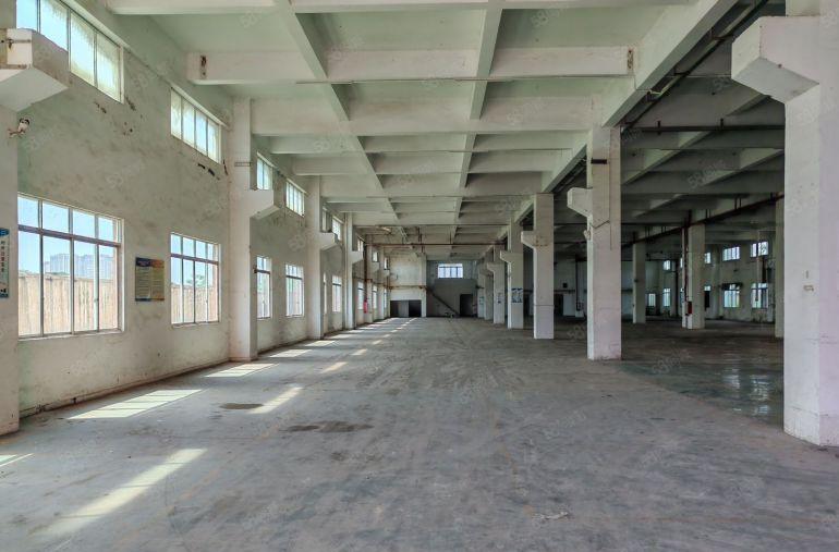 园洲镇阵村工业区标准厂房9300平米出租，可分租！