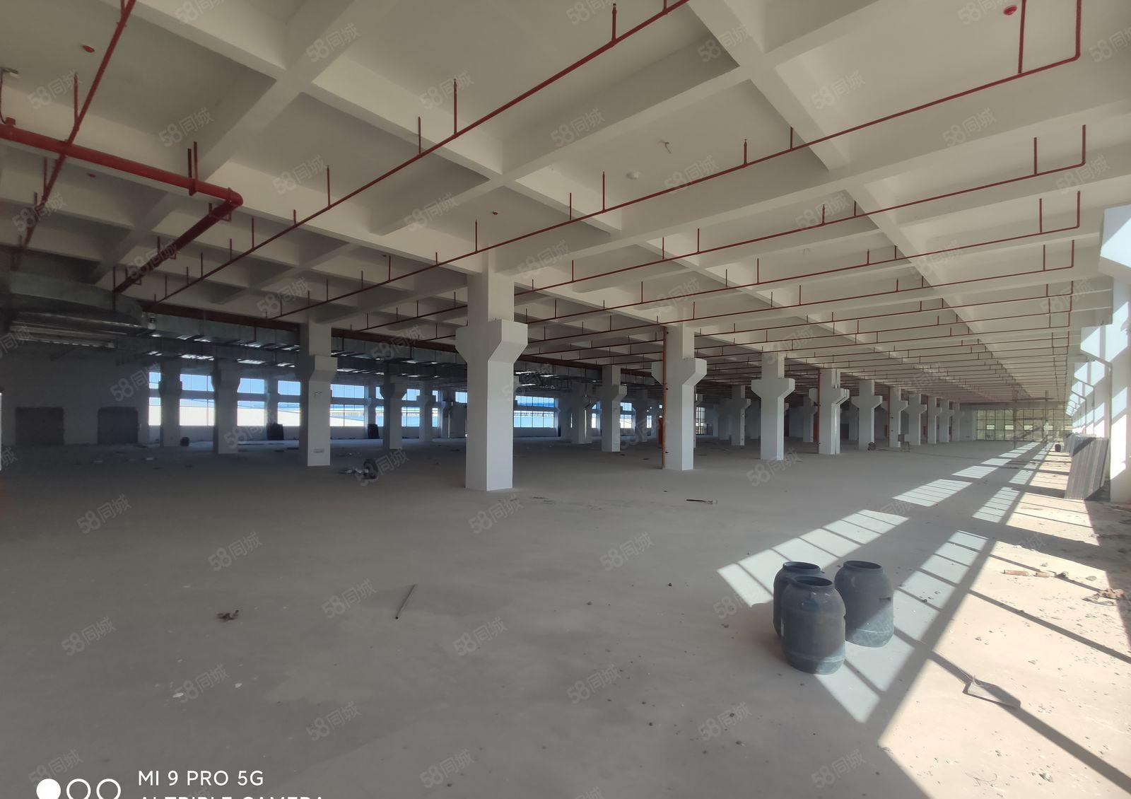 2000平方起租，石湾科技园新出4层红本标准厂房，一楼9米高