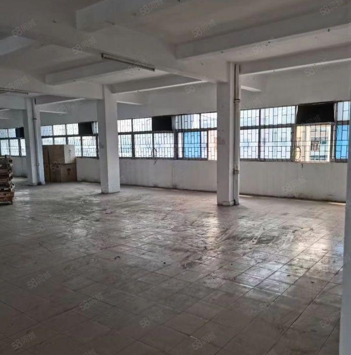 园洲新出原房东标准1400平厂房 实际面积无公摊 可办环评