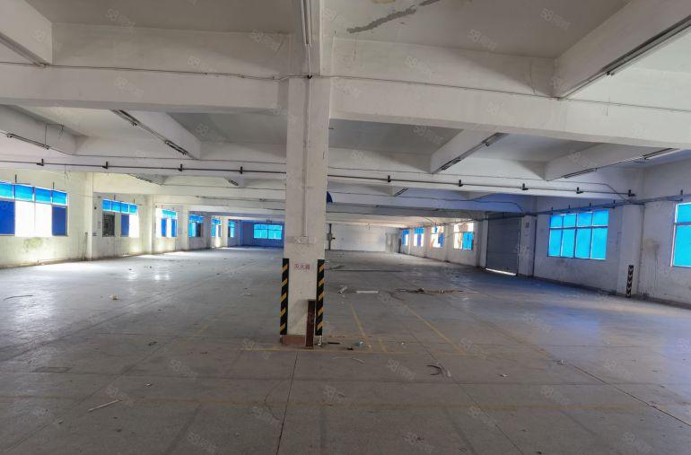 9博罗村委标准独院厂房5000平，有独立办公楼，水电到位