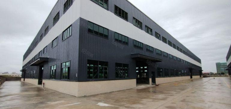 园洲财税补贴5元钢构滴水13米带牛角独院全新原房东现房出租