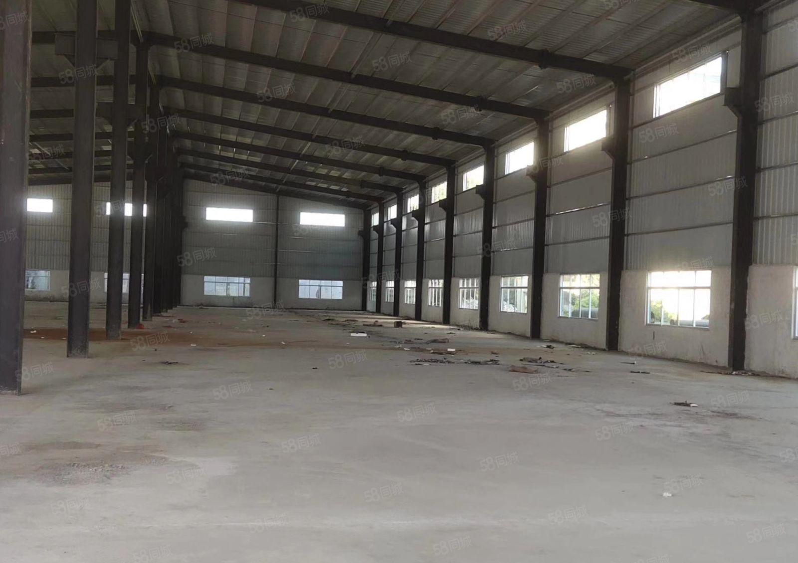 园洲镇全新钢构厂房滴水9米，带隔热2600平方证件齐全