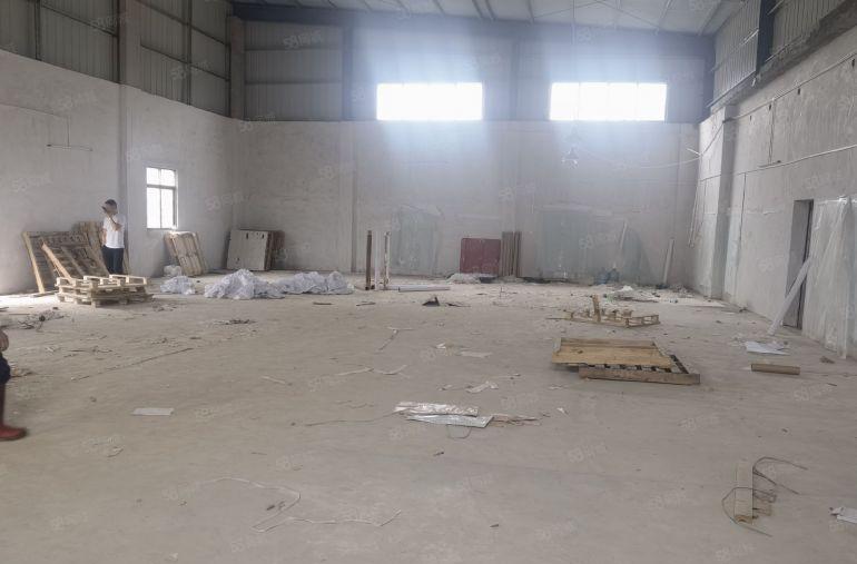 园洲镇原房东滴水8米单一层350平出租