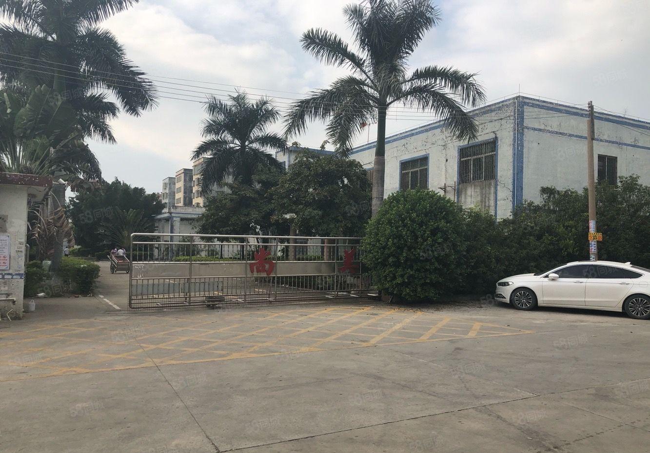 新出原房东独院砖墙带红本单一层4150平方带独立办公楼宿舍