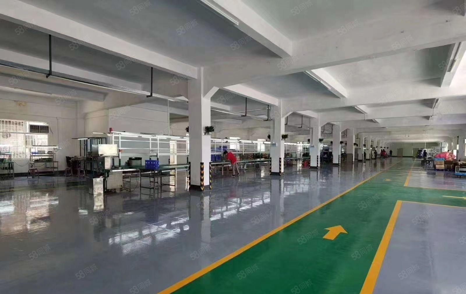 福田村委厂房！标准一楼2800方（拎包入住）可做小污染行业