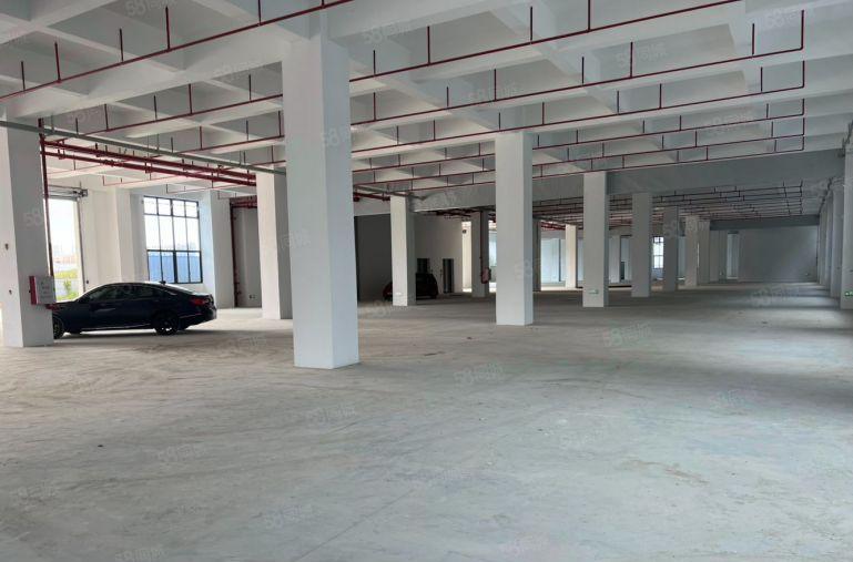 石湾科技园新出标准厂房出租4800平方独门独院带独立办公楼