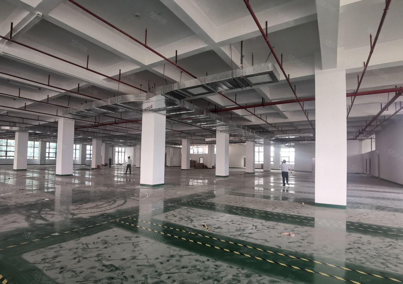 500平起博罗石湾科技园2万平厂房出租带环评一楼6米精选仓库