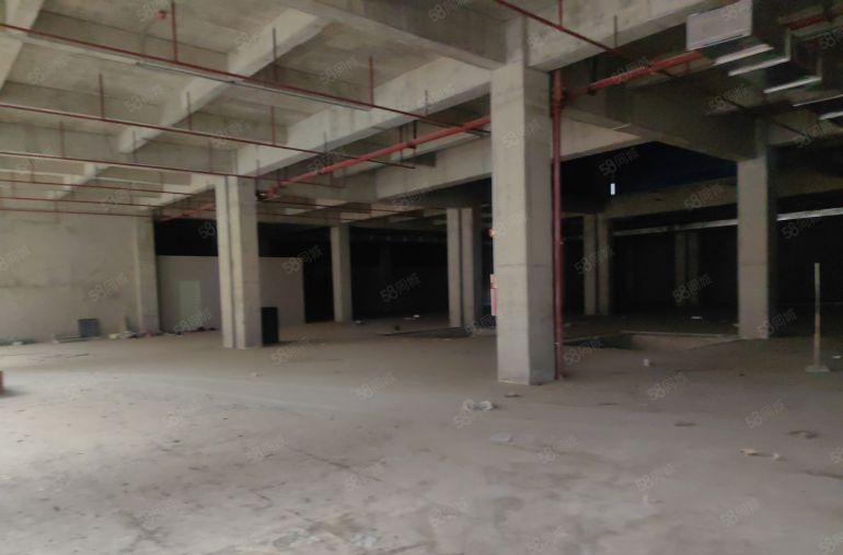 南北通透厂房出租 带空地价格优惠一手原房东