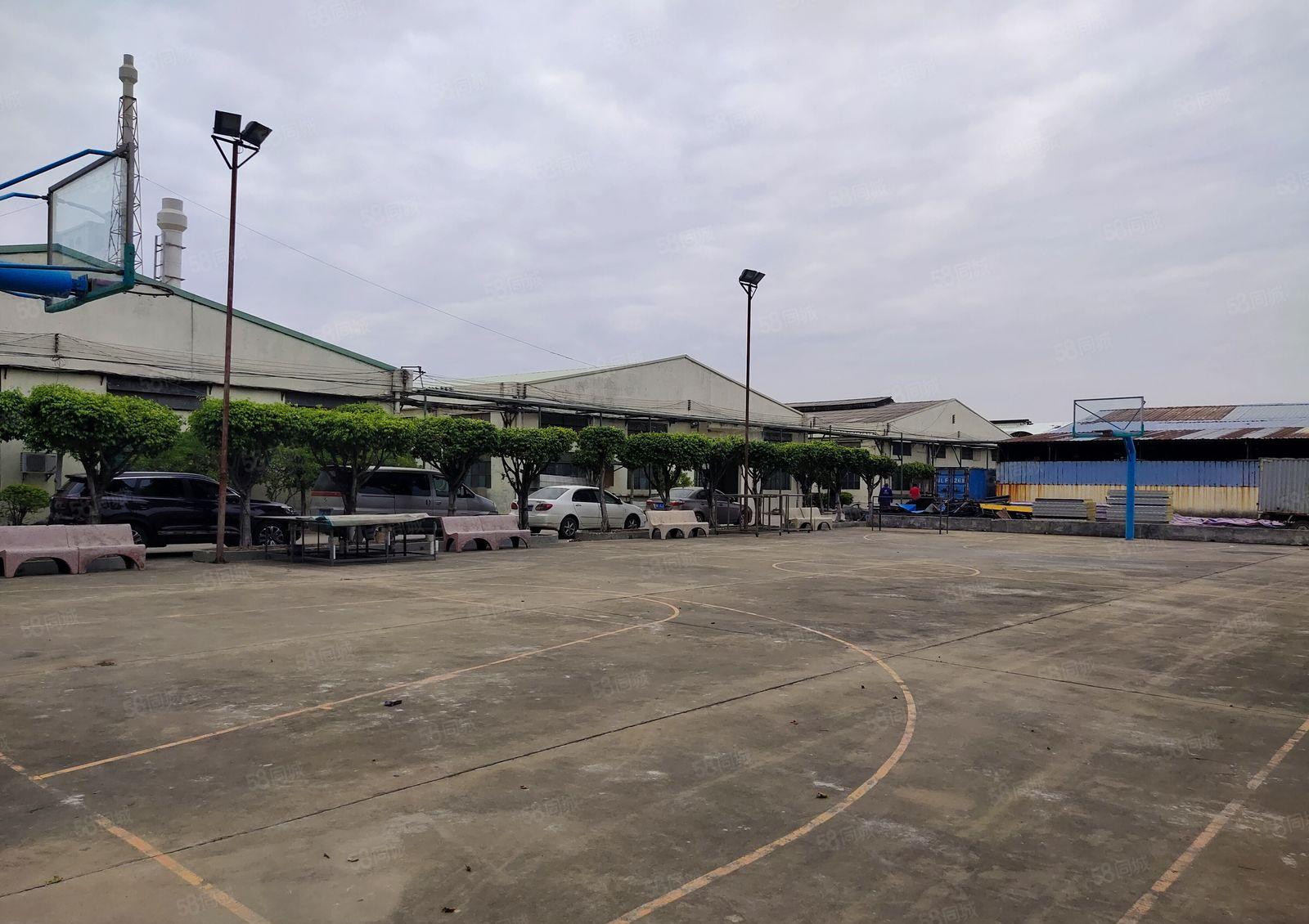 园洲原房东花园式独院厂房出租1500方，可分租，可做小污染。