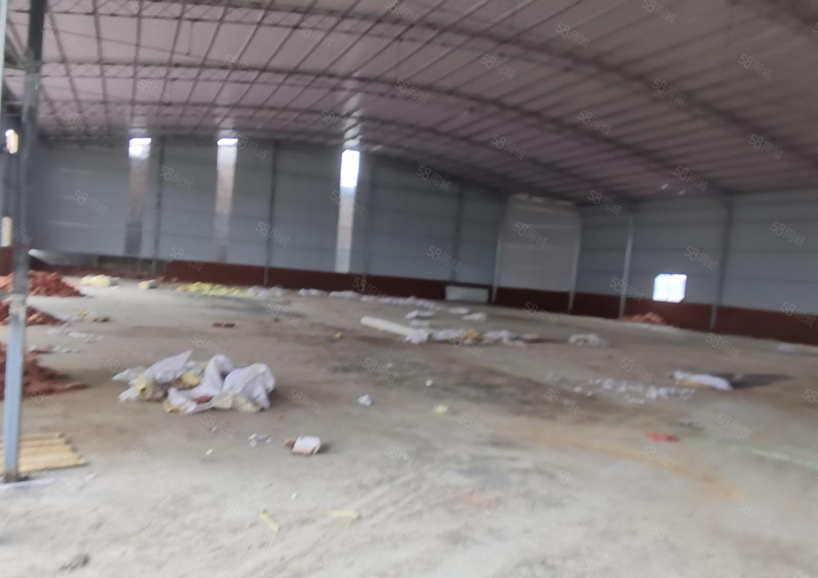 龙溪镇现成钢结构独院厂房招租1280平方 工业用地正规报建