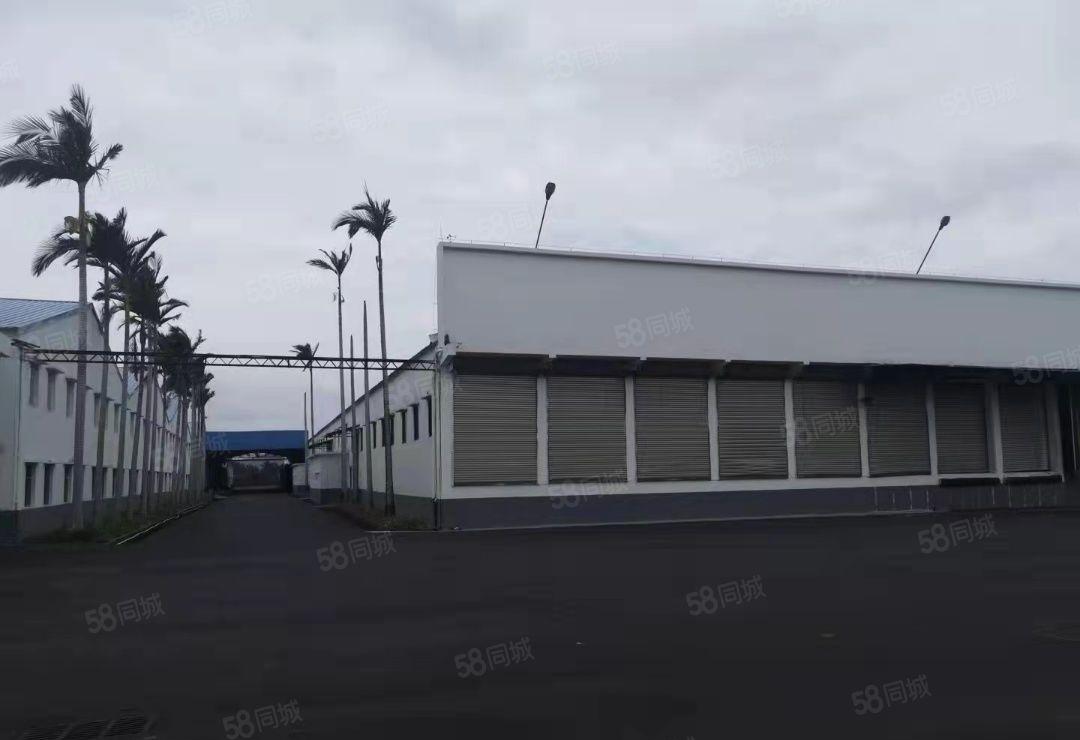 龙华全新厂房出租旁边无居民交通方便
