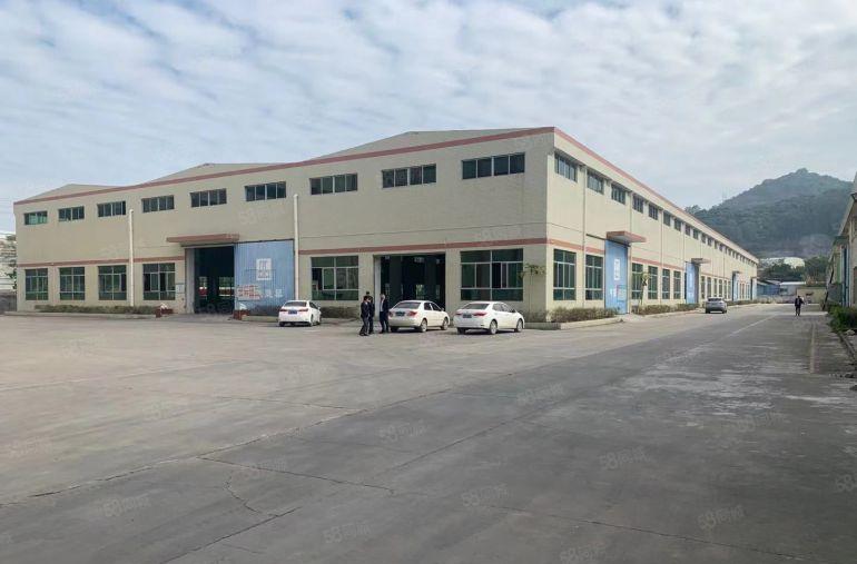 园洲临东莞钢结构独院，单价13块，滴水10米，带行车，可分租