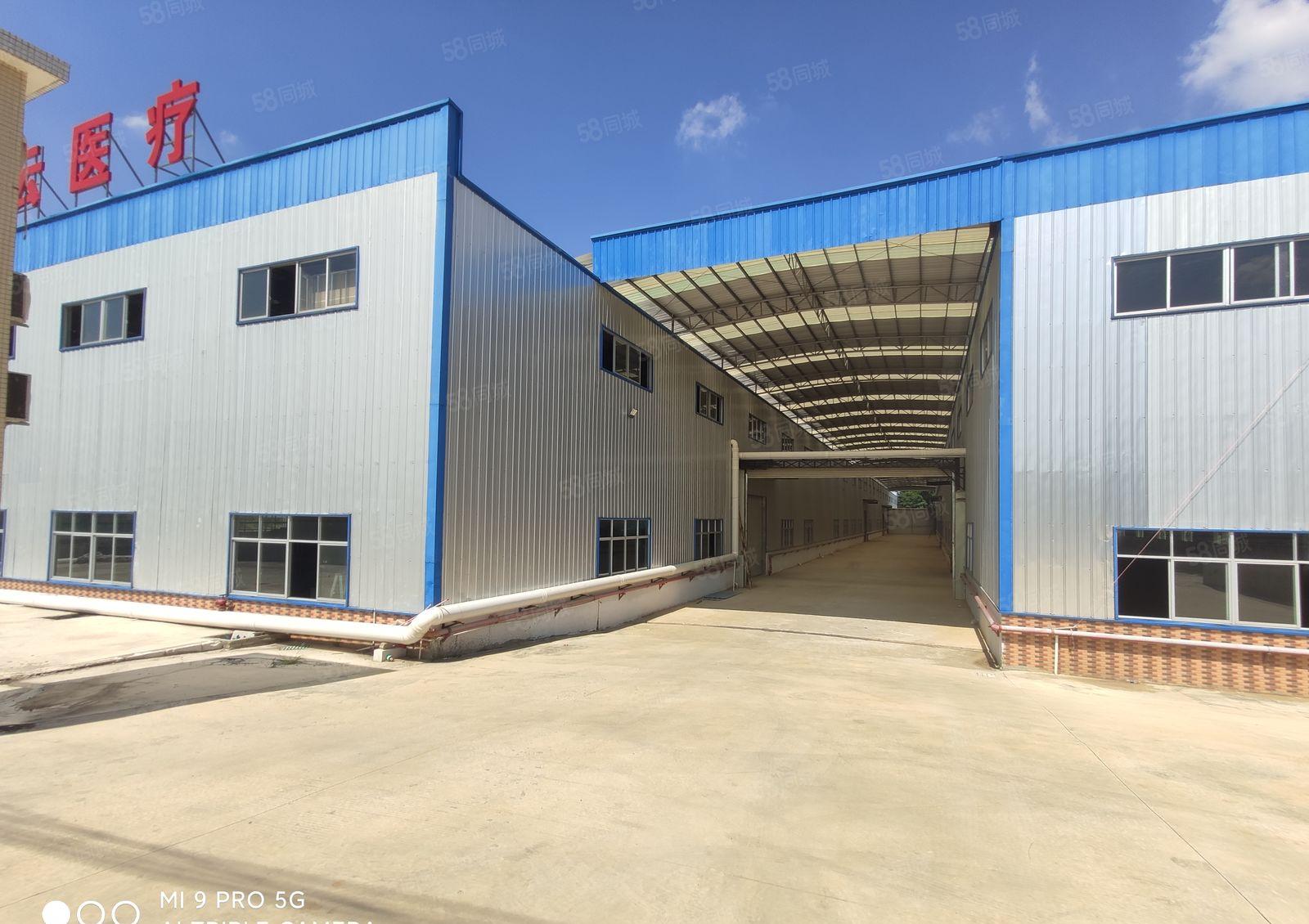 2000平方起租，石湾新出滴水10米独院单一层厂房出租。