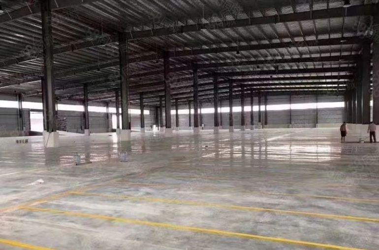 园洲原房东低价独院厂房仓库出租地皮出租重工业厂房出租