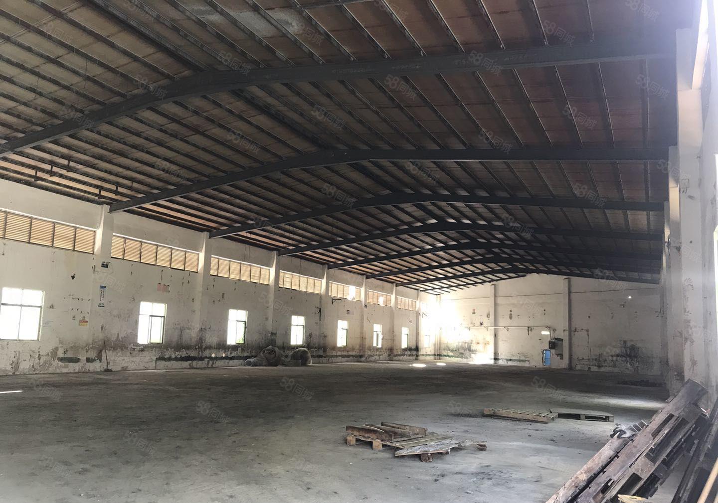 龙溪镇独门独院砖墙到顶单一层出租