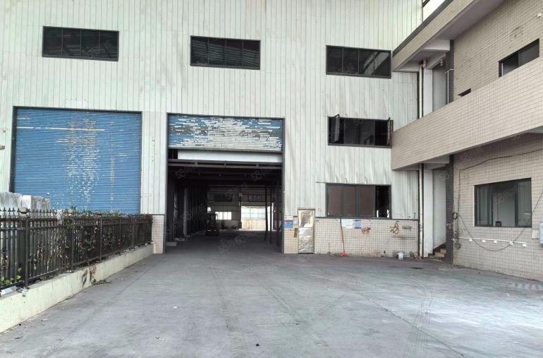 园洲原房东独院单一层厂房滴水9米面积1800平12元出租