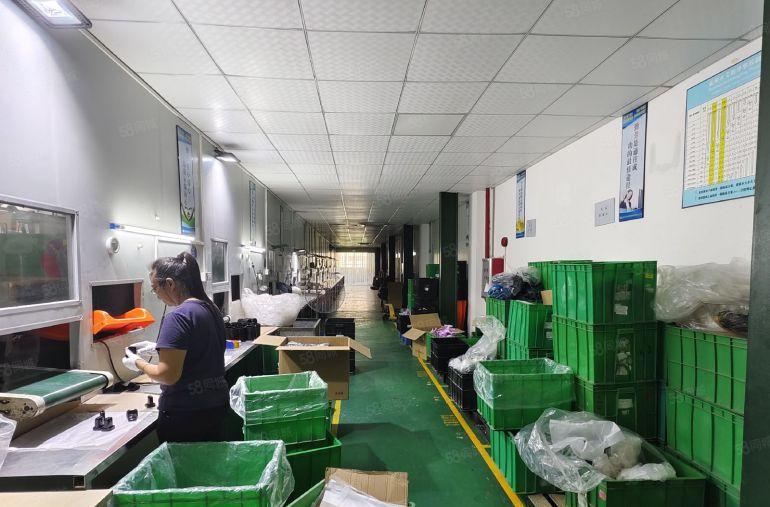 博罗园洲全新原房东独门独院钢结构滴水11米1800平厂房出租