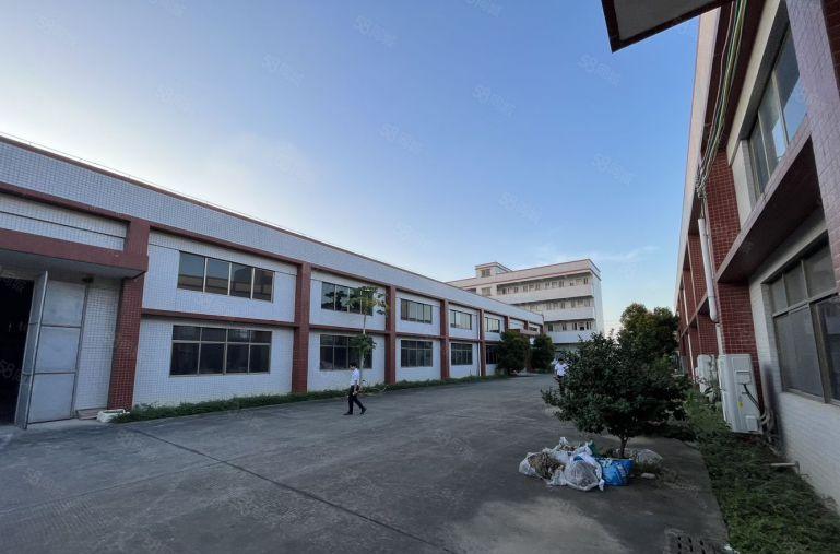 园洲新出一楼3000平钢构厂房出租滴水8米空地很大主干道边上