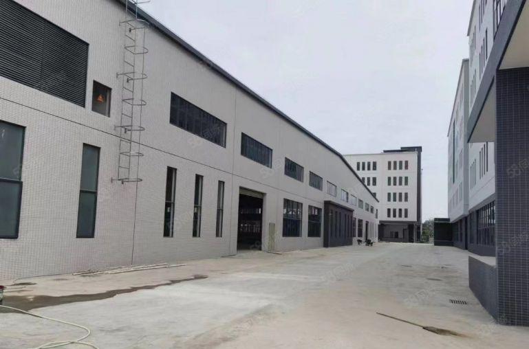 园洲全新红本标准钢构12万平方厂房出租