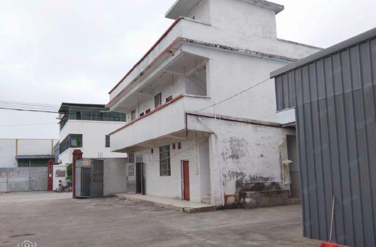 园洲镇10元独院厂房单一层1600平米，宿舍办公室500平米