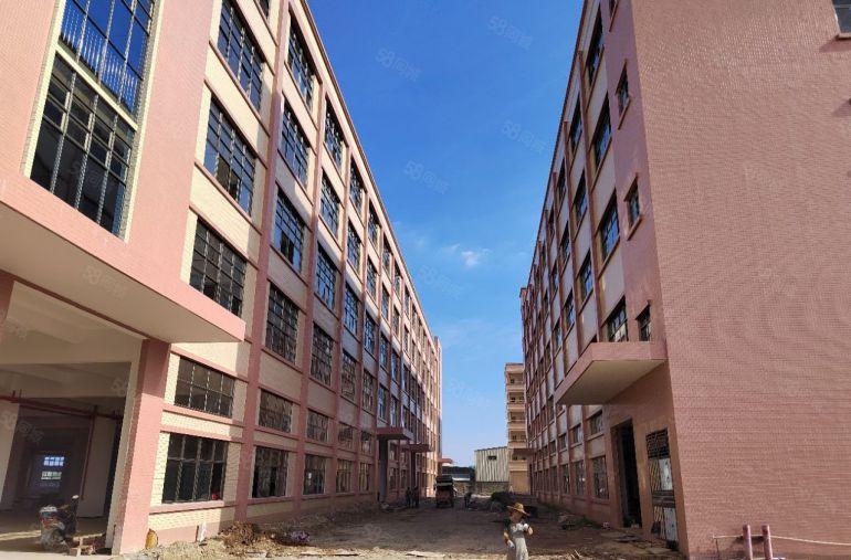 表面处理红本园区52000平 1000平起分 可排水