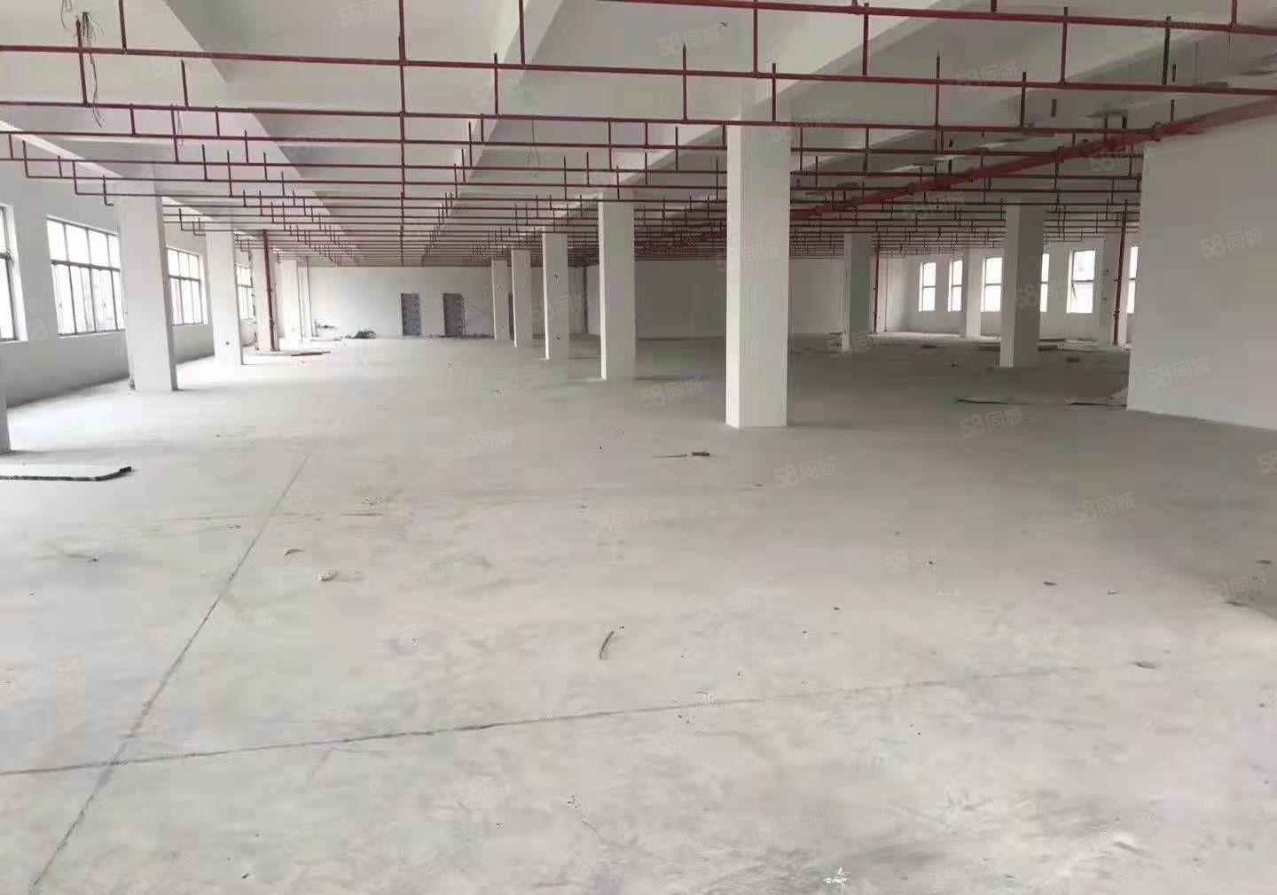 博罗石湾经典独院3500 宿舍配套齐全 工业厂房 可办环评