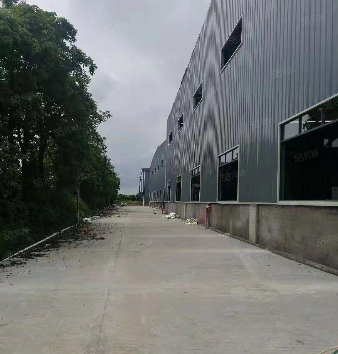 园洲全新滴水10米单一层厂房出租，共48600平方，证件齐全